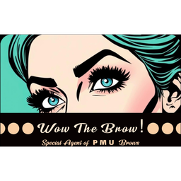 Wow The Brow! Special Agent of PMU Brows